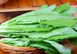 吃油麥菜可以減肥嗎？吃油麥菜能不能減肥？