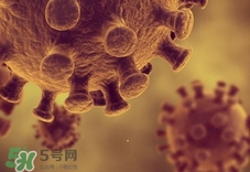 h1n1流感可以治好嗎?h1n1流感能治愈嗎? h1n1流感可以治好嗎?h1n1流感能治愈嗎?