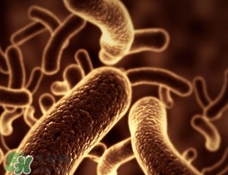 h1n1流感可以治好嗎?h1n1流感能治愈嗎? h1n1流感可以治好嗎?h1n1流感能治愈嗎?