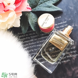 dolce gabanna香水哪款好聞？DG杜嘉班納香水推薦