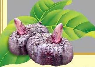 魔芋什么味道？怎么去除魔芋味道？