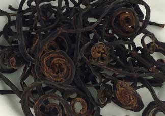 干蕨菜致癌嗎？干蕨菜致癌是真的嗎？