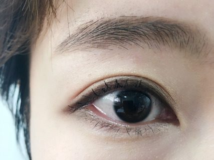 kate20周年眼影盤色號試色 kate20周年眼影盤多少錢？