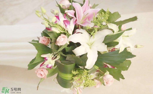 孕婦不能碰那些花 孕期避開的花有哪些 孕婦不能碰那些花 孕期避開的花有哪些