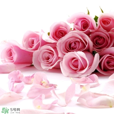 孕婦不能碰那些花 孕期避開的花有哪些 孕婦不能碰那些花 孕期避開的花有哪些