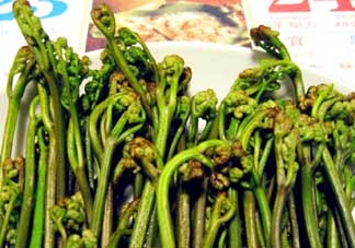 蕨菜有毒嗎？吃蕨菜會(huì)中毒嗎？