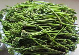 吃蕨菜有什么好處？吃蕨菜的好處