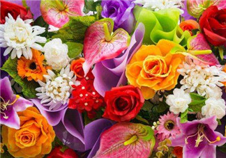 孕婦不能碰那些花 孕期避開(kāi)的花有哪些