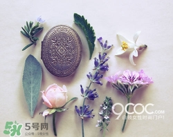 2017固體香膏哪個(gè)牌子好？2017固定香膏排行榜