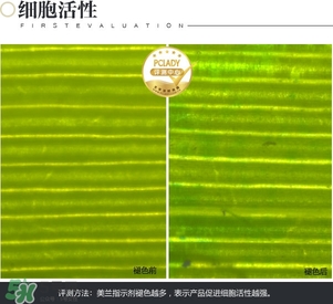 cpb保濕露多少錢？cpb保濕露專柜價(jià)格