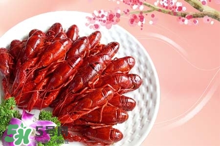 吃小龍蝦喝什么飲料？小龍蝦配什么飲料最好？