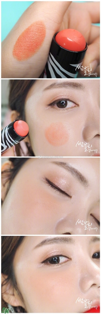 Sisley 2017腮紅棒03號 Sisley 2017腮紅棒03號試色 Sisley 2017腮紅棒03號 Sisley 2017腮紅棒03號試色