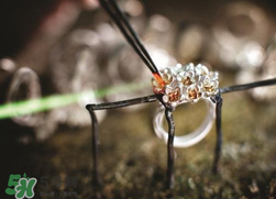 潘多拉2017春季新品好看嗎？pandora2017春季新款珠寶怎么樣？