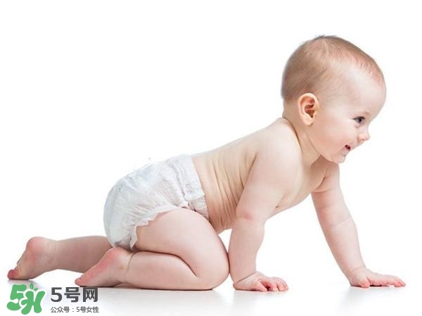 不會(huì)爬的寶寶不聰明嗎 寶寶不會(huì)爬是笨的表現(xiàn)嗎 不會(huì)爬的寶寶不聰明嗎 寶寶不會(huì)爬是笨的表現(xiàn)嗎