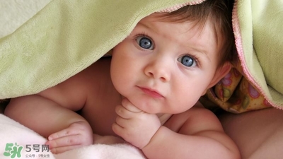 寶寶鹵門(mén)在哪里 鹵門(mén)在哪個(gè)位置