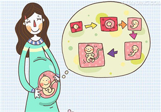 孩子的相貌遺傳誰的？孩子的相貌是遺傳爸爸嗎？