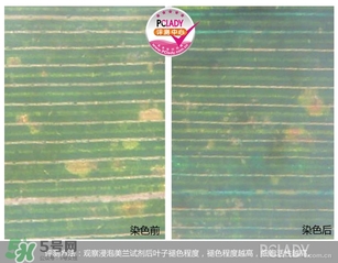 cpb夜乳白天能用嗎？cpb夜乳使用方法