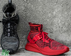 puma襪子鞋正品多少錢？彪馬襪套鞋專柜價(jià)格