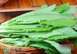 油麥菜糖尿病能吃嗎？糖尿病能吃油麥菜嗎？