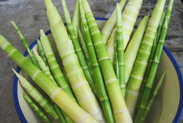 春筍怎么做不苦？春筍怎么做不澀