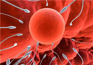 捐20顆卵子會(huì)怎么樣？捐20顆卵子有什么后果？