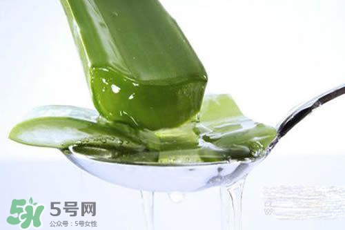 黃瓜水和蘆薈水哪個(gè)好？黃瓜水和蘆薈水功效區(qū)別