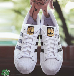 adidas貝殼頭正品多少錢？阿迪達(dá)斯貝殼頭鞋專柜價(jià)格