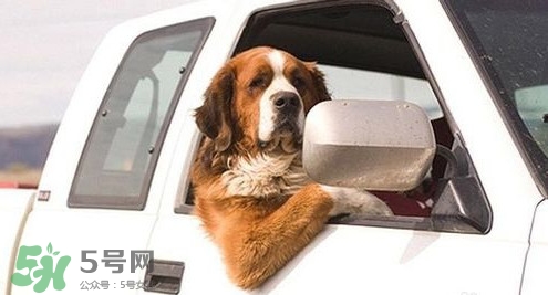 坐車(chē)暈車(chē)怎么辦？坐車(chē)暈車(chē)想吐怎么辦