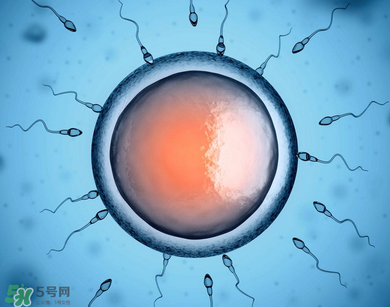 捐20顆卵子會(huì)怎么樣？捐20顆卵子有什么后果？