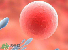 捐20顆卵子會(huì)怎么樣？捐20顆卵子有什么后果？