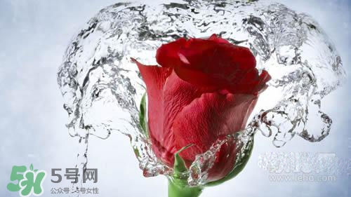 黃瓜水和玫瑰水哪個(gè)好？黃瓜水和玫瑰水區(qū)別