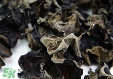 木耳浸泡后可以直接食用嗎?木耳用水泡完能直接吃嗎? 木耳浸泡后可以直接食用嗎?木耳用水泡完能直接吃嗎?