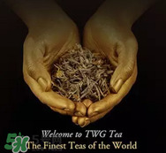twg茶哪個(gè)最經(jīng)典？twg茶葉哪個(gè)好喝？