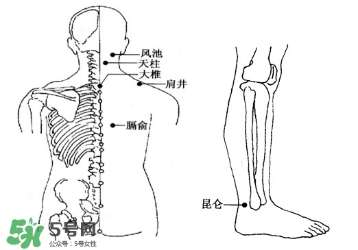 刮痧能治頸椎病嗎？頸椎病刮痧正確圖片