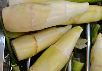 坐月子可以吃春筍嗎？產(chǎn)婦能吃春筍嗎？