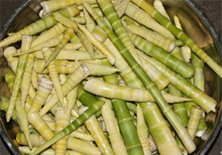 濕疹可以吃春筍嗎？得了濕疹能吃春筍嗎？