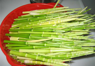 春筍老人能吃嗎？老人吃春筍好嗎？