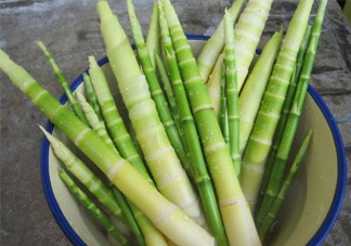 過敏體質(zhì)可以吃春筍嗎？皮膚過敏能吃春筍嗎？