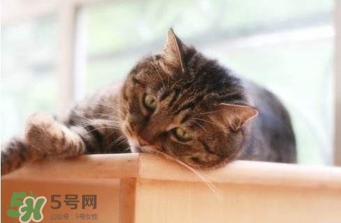 為什么身體總是覺得累？總是覺得累是怎么回事