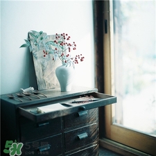 vintage是什么牌子?vintage是哪個(gè)國家的? vintage是什么牌子?vintage是哪個(gè)國家的?