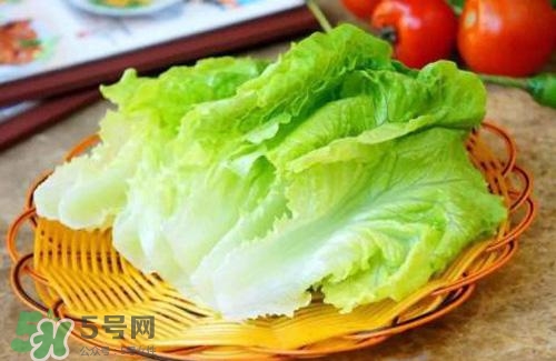 生菜可以放冰箱嗎？生菜可以放冰箱多久？