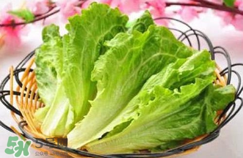 生菜可以放冰箱嗎？生菜可以放冰箱多久？