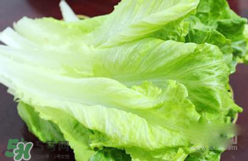 生菜可以放冰箱嗎？生菜可以放冰箱多久？