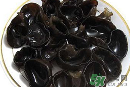 黑木耳熱量高嗎？一盤木耳的熱量是多少？