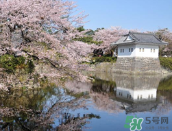 5月份去日本穿什么？五月份去日本穿什么衣服？