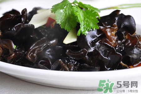 黑木耳可以隔夜吃嗎？黑木耳能過夜吃嗎？