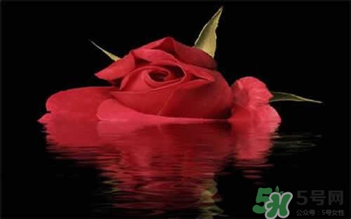 玫瑰水可以做面膜嗎？玫瑰水怎么做面膜？