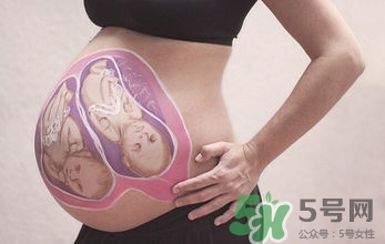 妊娠線看可以看胎兒性別嗎？妊娠線看可以男女嗎？