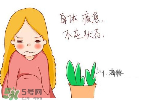 為什么身體總是覺得累？總是覺得累是怎么回事