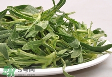面條菜是發(fā)物嗎?面條菜孕婦可以吃嗎? 面條菜是發(fā)物嗎?面條菜孕婦可以吃嗎?